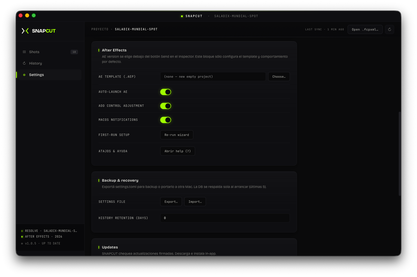 Settings sección After Effects con template y opciones